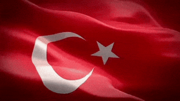 Türk Bayrağı
